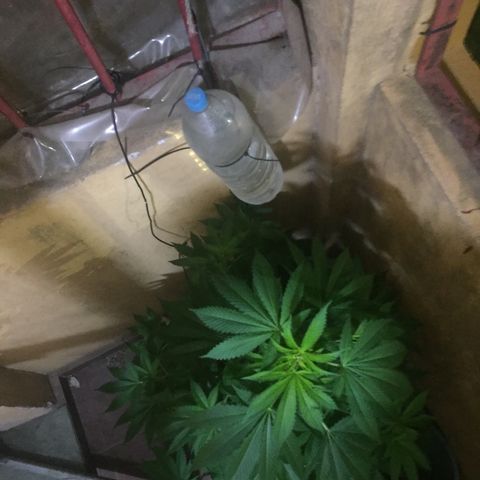 Whidak47[SXL141] growlog timeline photo