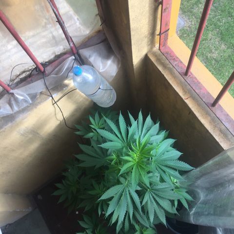 Whidak47[SXL141] growlog timeline photo