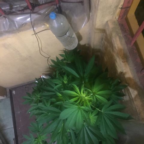 Whidak47[SXL141] growlog timeline photo