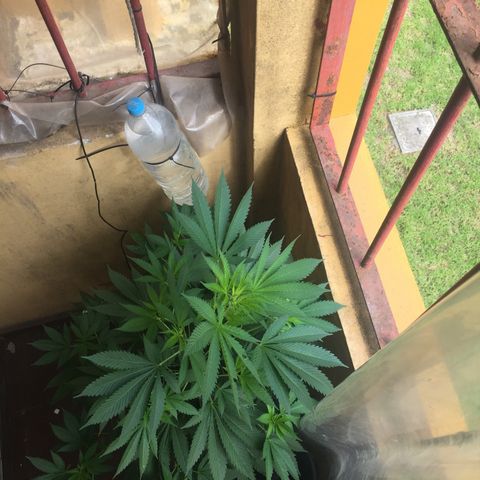 Whidak47[SXL141] growlog timeline photo