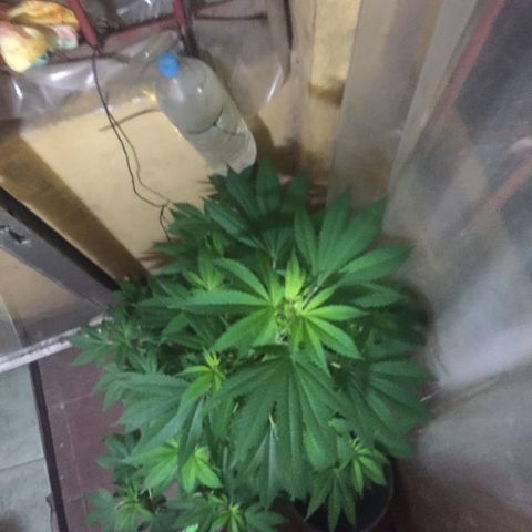 Whidak47[SXL141] growlog timeline photo