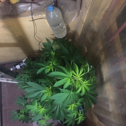 Whidak47[SXL141] growlog timeline photo