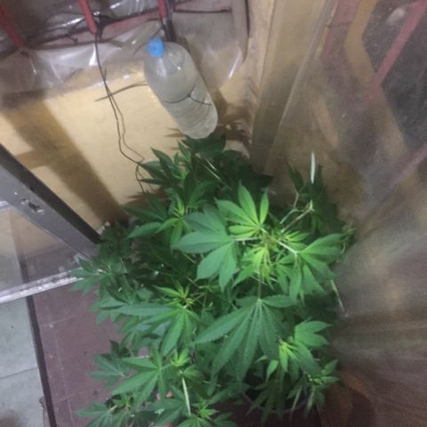 Whidak47[SXL141] growlog timeline photo