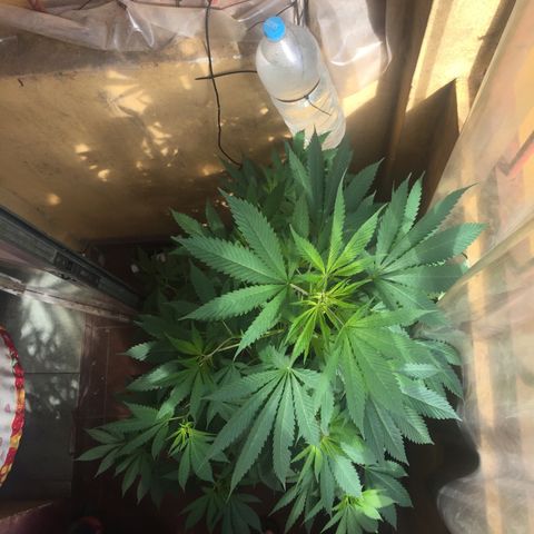 Whidak47[SXL141] growlog timeline photo
