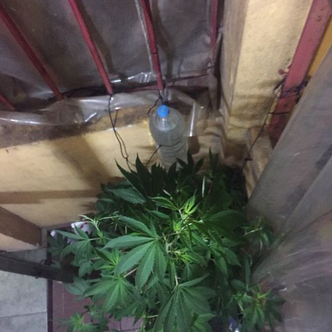 Whidak47[SXL141] growlog timeline photo