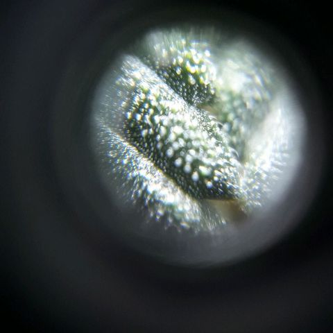 Красотка growlog timeline photo