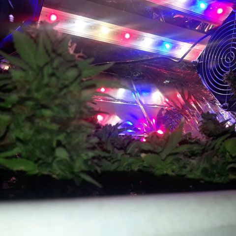 Красотка growlog timeline photo