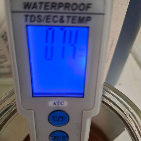 Mimosa Cake Auto growlog timeline photo
