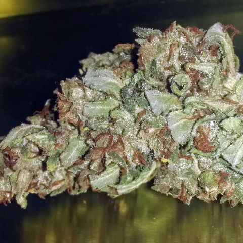 Georgia Morning Frost growlog photo: All dry and ready to jar.