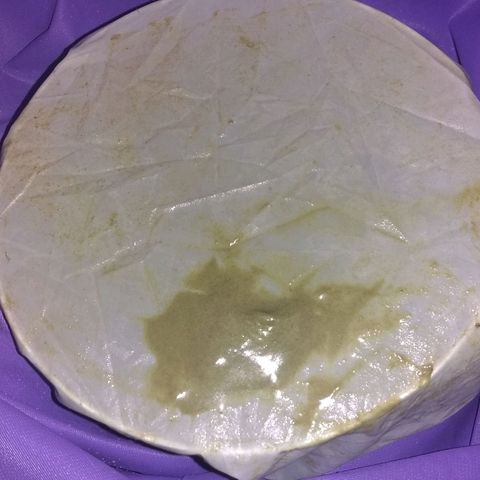 Dave's Sour Tangie growlog photo: Was very seedy from accidental early pollenation, but still very resinous.  Turned into bubble hash. Ended up with about 1.5 grams bubble hash, 1 gram FECO, 1.5 ounces of trim which was used for tincture and 1.5 ounces of seeds.