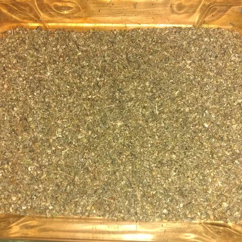 Dave's Sour Tangie growlog photo: Was very seedy from accidental early pollenation, but still very resinous.  Turned into bubble hash. Ended up with about 1.5 grams bubble hash, 1 gram FECO, 1.5 ounces of trim which was used for tincture and 1.5 ounces of seeds.