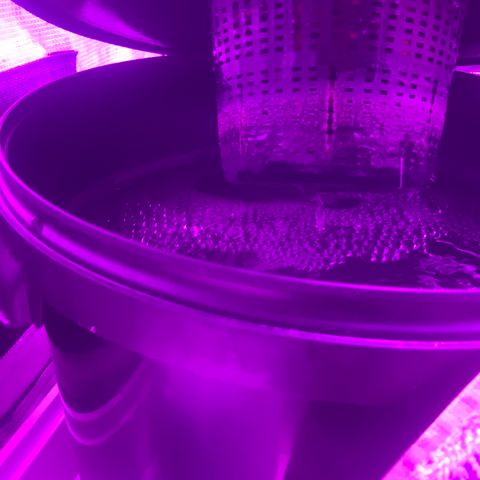 Next Generation Uschi growlog timeline photo