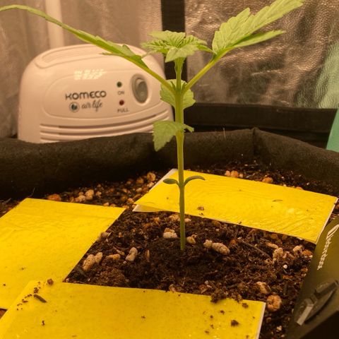 Fiona growlog photo: Enorme ja kkkkkkkk
