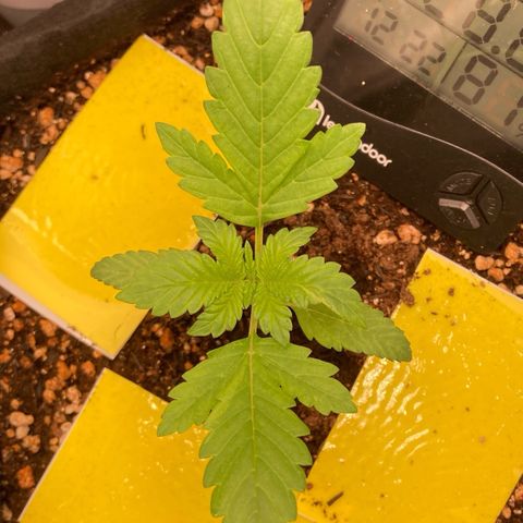 Fiona growlog photo: Enorme ja kkkkkkkk