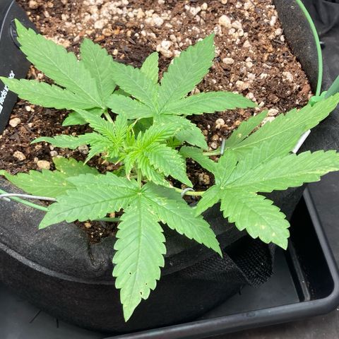 Fiona growlog photo: Ela estava assim!!