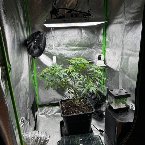 Chrissy growlog timeline photo