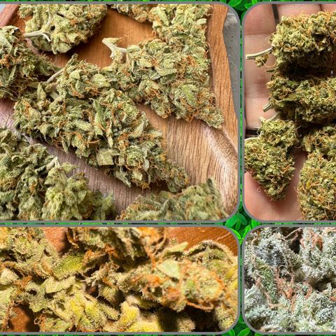 Mercedes growlog timeline photo