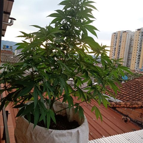 Moby D. Robin 💜 growlog photo: Se me olvidó hacer el seguimiento jijiji