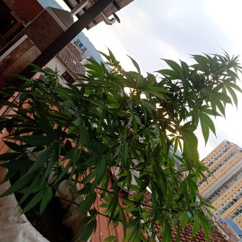 Moby D. Robin 💜 growlog photo: Se me olvidó hacer el seguimiento jijiji