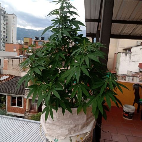 Moby D. Robin 💜 growlog photo: Se me olvidó hacer el seguimiento jijiji