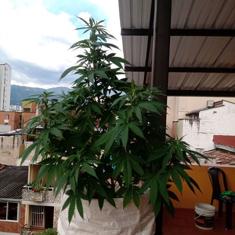 Moby D. Robin 💜 growlog photo: Se me olvidó hacer el seguimiento jijiji