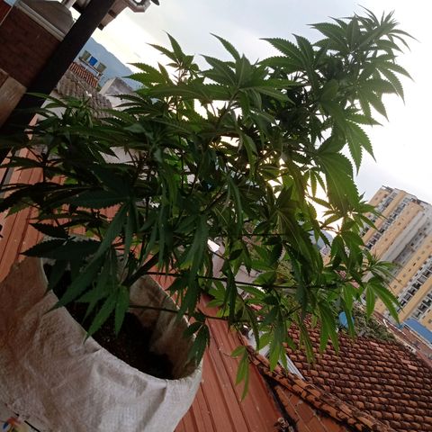 Moby D. Robin 💜 growlog photo: Se me olvidó hacer el seguimiento jijiji