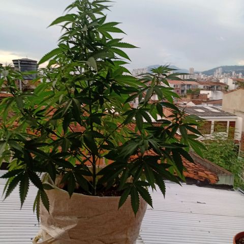 Moby D. Robin 💜 growlog photo: Se me olvidó hacer el seguimiento jijiji