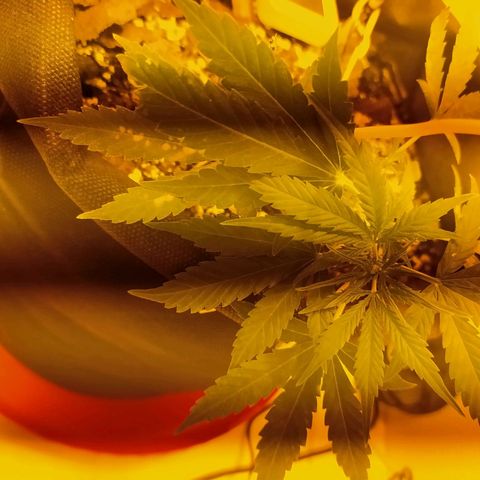 Марта growlog timeline photo