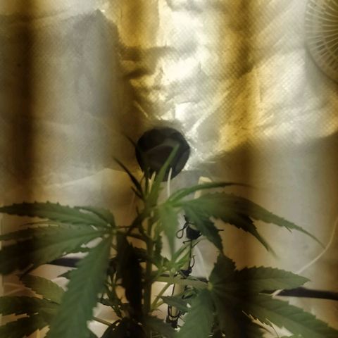 Марта growlog timeline photo