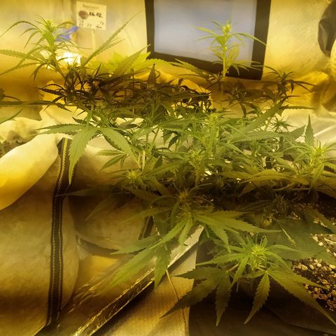 Марта growlog timeline photo