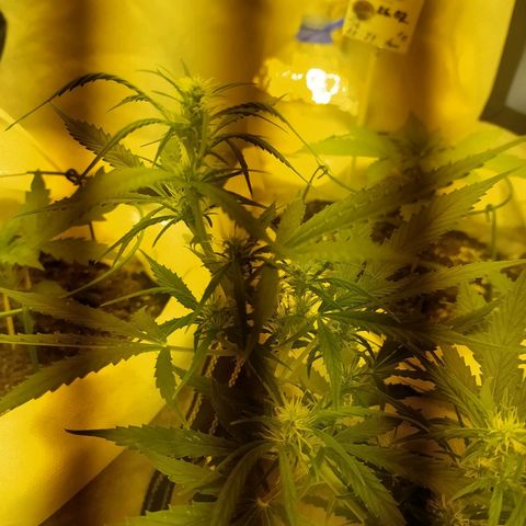 Марта growlog timeline photo