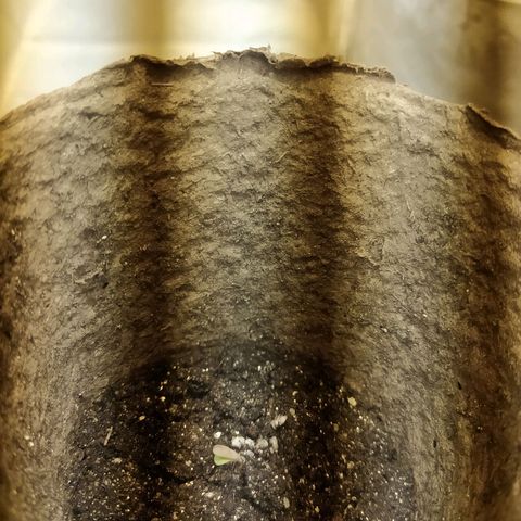 WR ( данные неизвестны )  growlog timeline photo