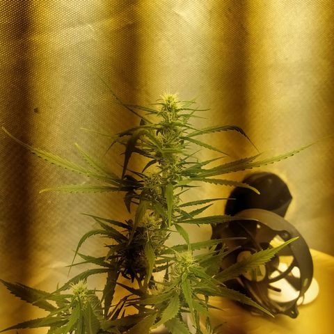 Марта growlog timeline photo