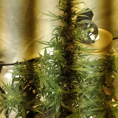 Марта growlog timeline photo