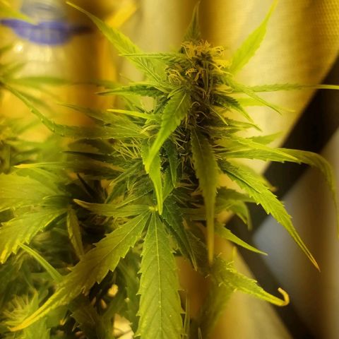 Марта growlog timeline photo