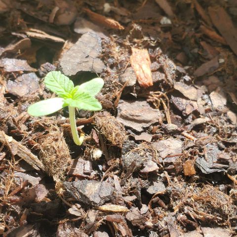 Tati's wedding cake 🎂  growlog photo: Enjoying the Florida sun