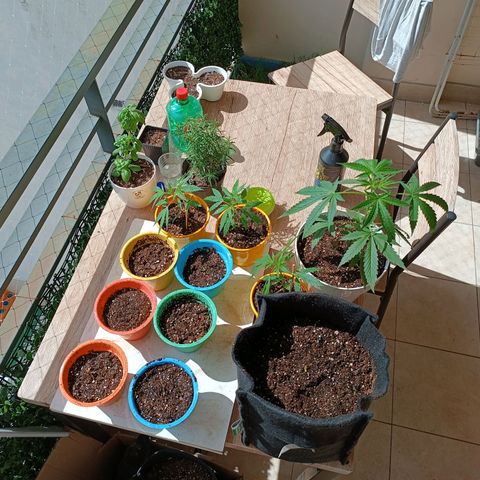Lila X growlog timeline photo