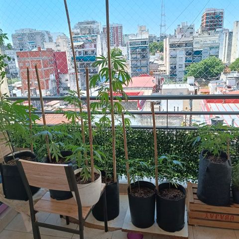 Lila X growlog timeline photo