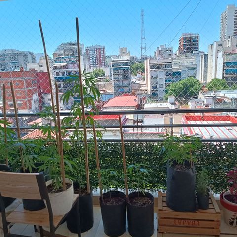 Lila X growlog timeline photo