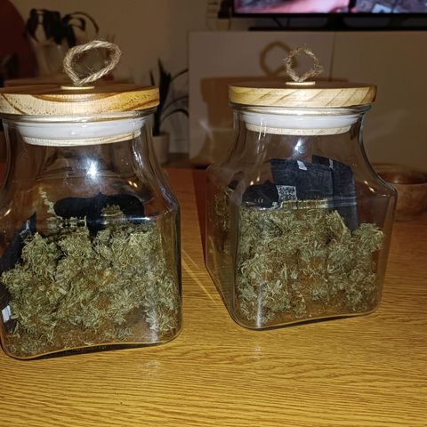 Lila X growlog timeline photo