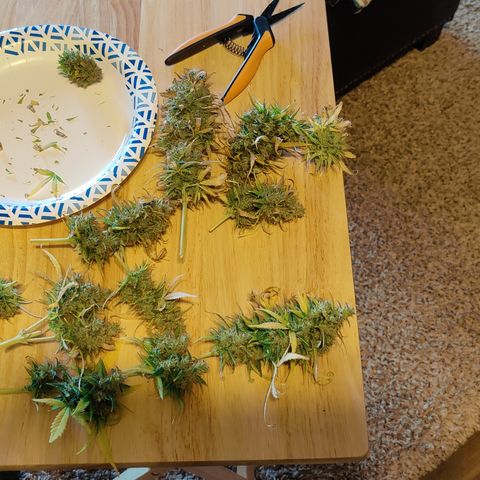 #5 growlog timeline photo