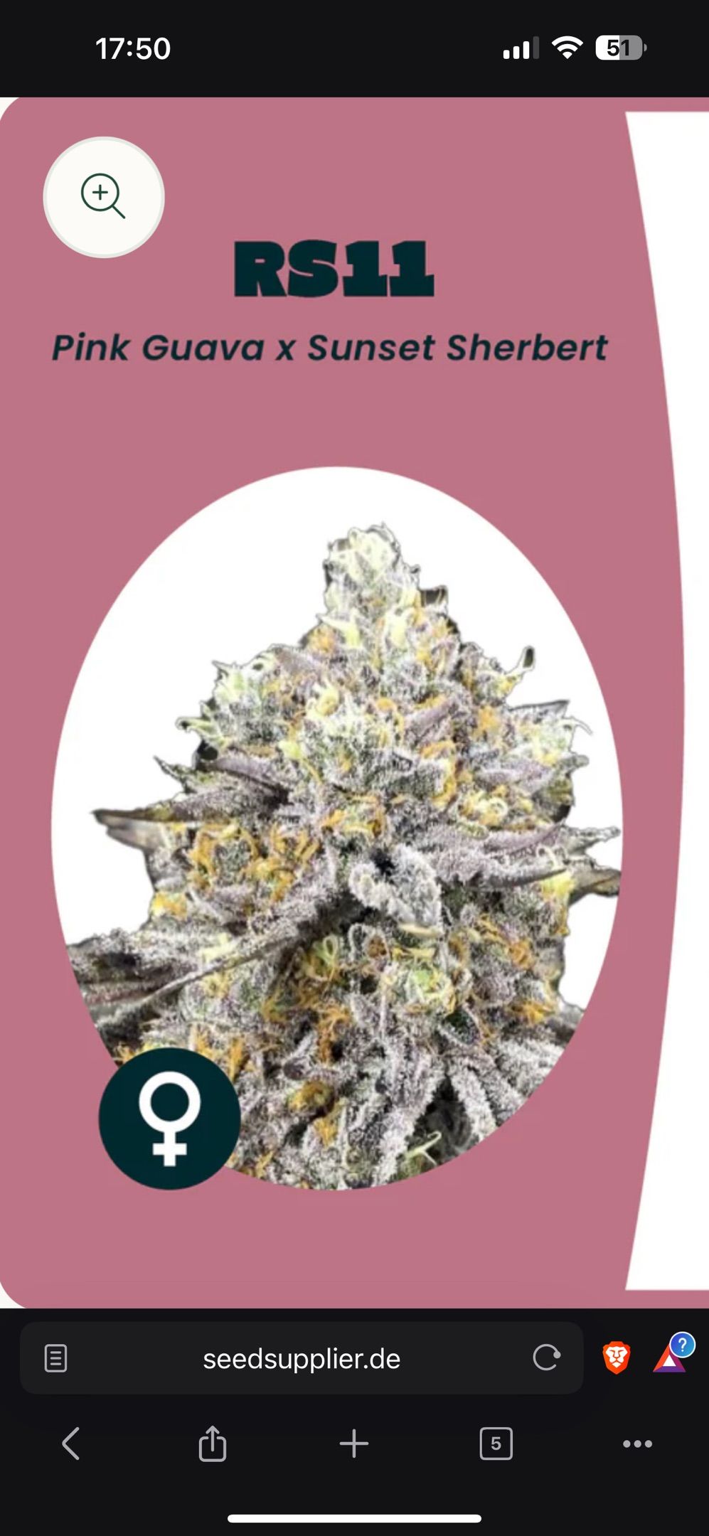 RS11 growlog header