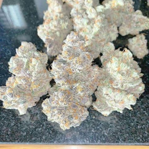 White Truffle Limited Edition  growlog timeline photo