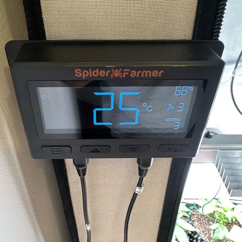 Blue Cheese growlog timeline photo