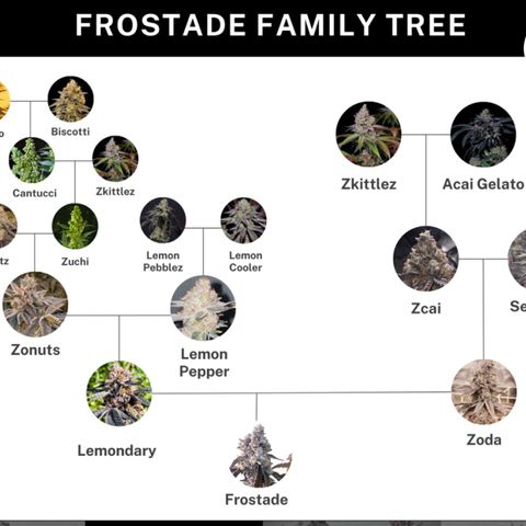 Frostade growlog timeline photo