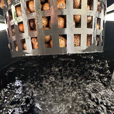 Bubble Gum growlog timeline photo