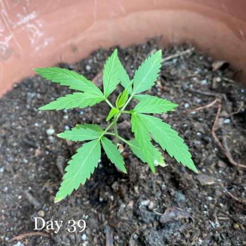 Big Bertha growlog timeline photo