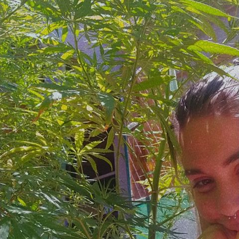 Genética desconocida growlog timeline photo