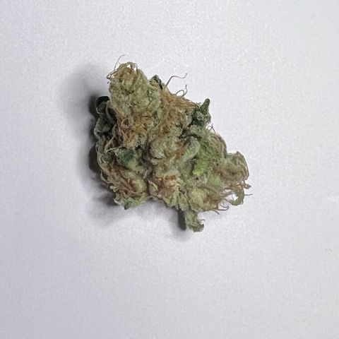 Gorilla Glue growlog timeline photo
