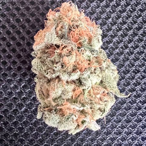 Gorilla Glue growlog photo: Checking to see how flushing went. Hoping for white ash when burning